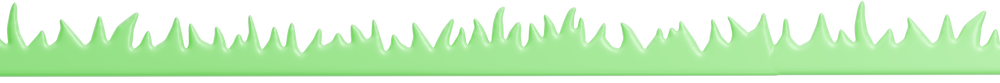 Green grass border